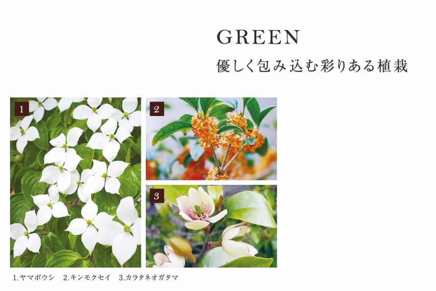 庭 優しく包み込む彩りある植栽 街並みの随所に華やかに演出する木々や草花を植えました。自然豊かな表情で住まいを飾り立てます。