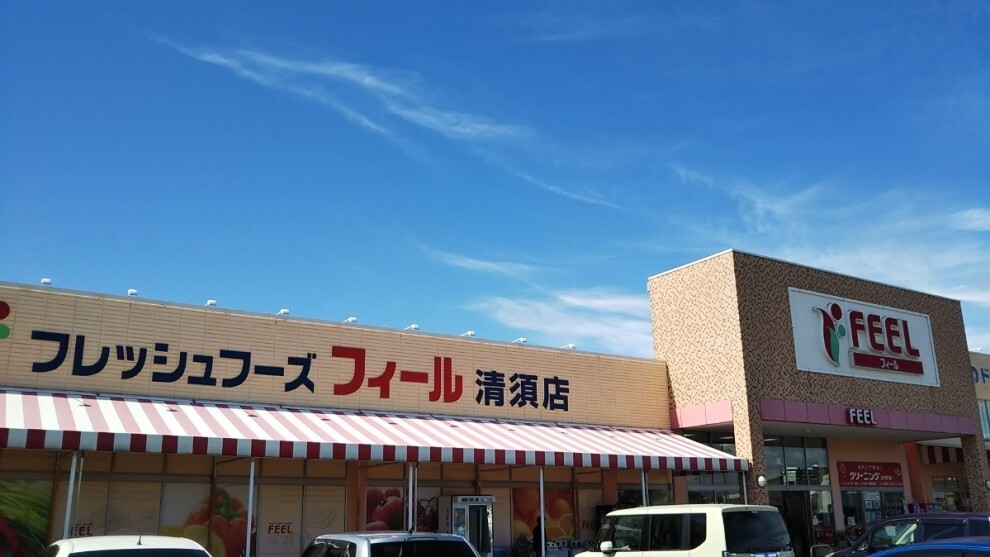 スーパー フィール清須店