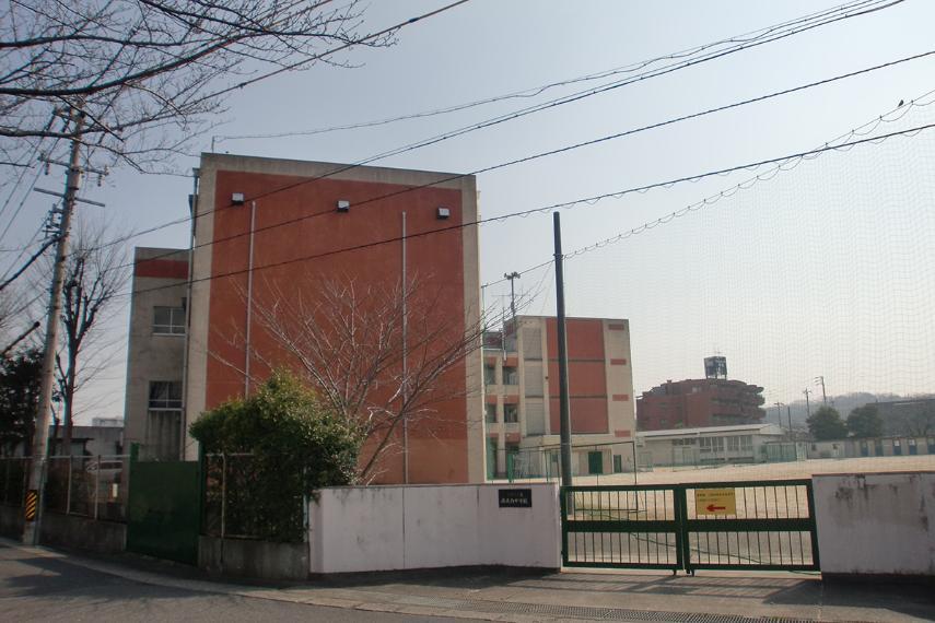 中学校 南天白中学校