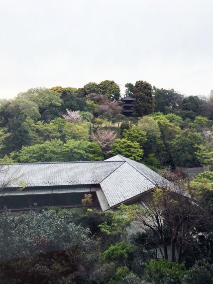 周辺の街並み ●椿山荘