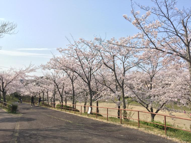 公園 梨の木公園