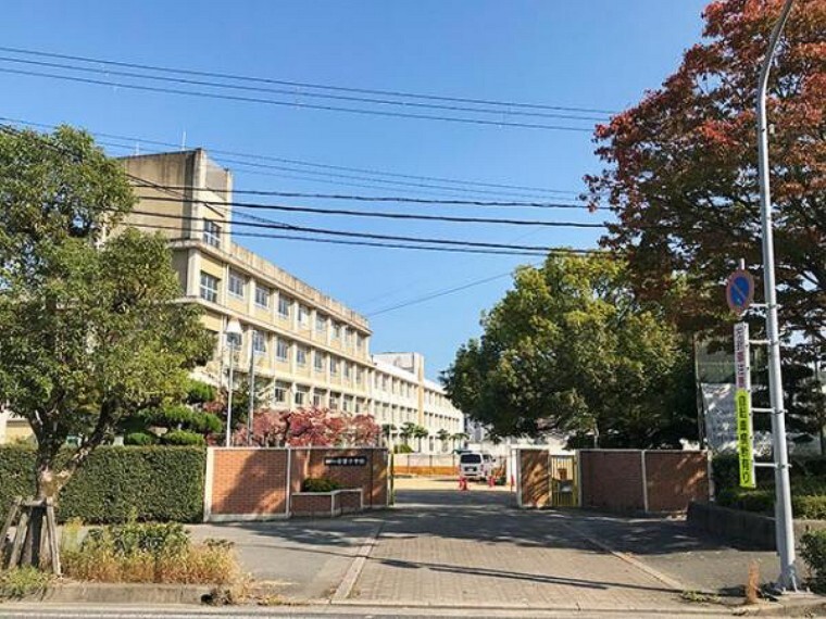 小学校 安室小学校まで徒歩約4分(約320m)