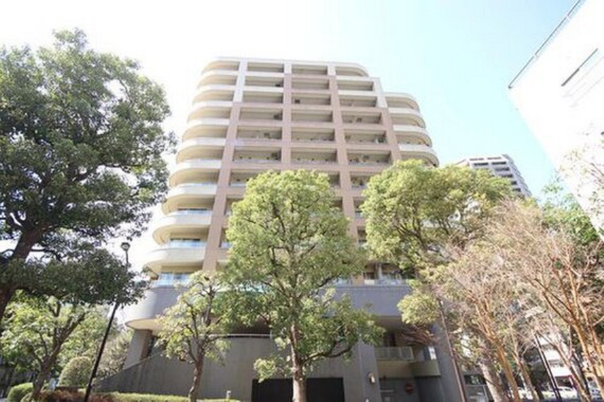 現況写真 マンション敷地内の豊かな植樹に加え、周辺の公園や運動場など緑あふれる環境。ファミリーや、ペットを飼われている方にもおススメです。