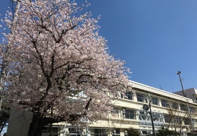 小学校 船橋市立/八栄小学校 徒歩8分。