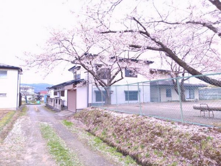 【周辺環境】西側の隣接地は平泉町の公園となっています。桜の木が植えてあるので春の満開の時期は綺麗ですね。