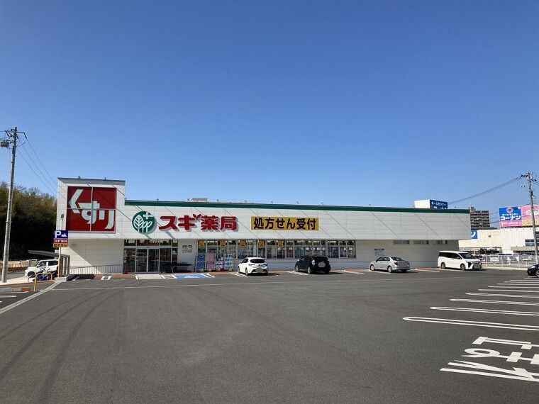 周辺の街並み スギ薬局