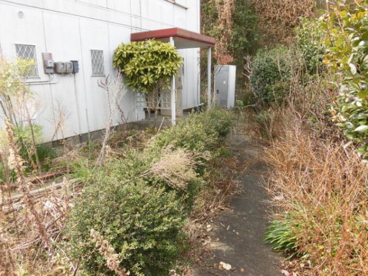 庭 オウチ周りの樹木・残置物は全て撤去して整地予定です
