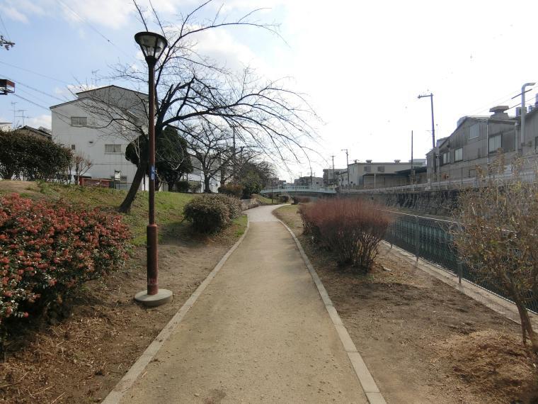 公園 今川緑道