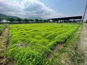 西脇市野村町