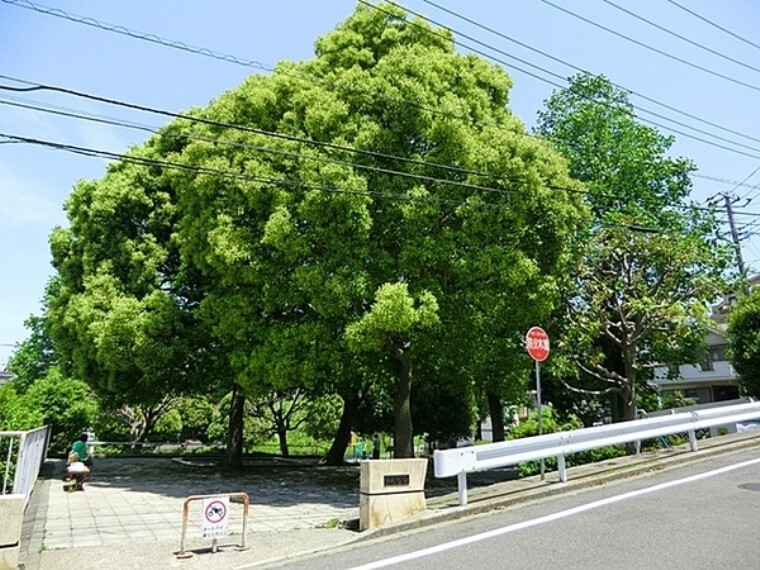 公園 貝塚公園 広場が3箇所に分かれている広い公園です。ユニークな遊具は小さい子におすすめ!その他滑り台、ブランコ、砂場、鉄棒もあります