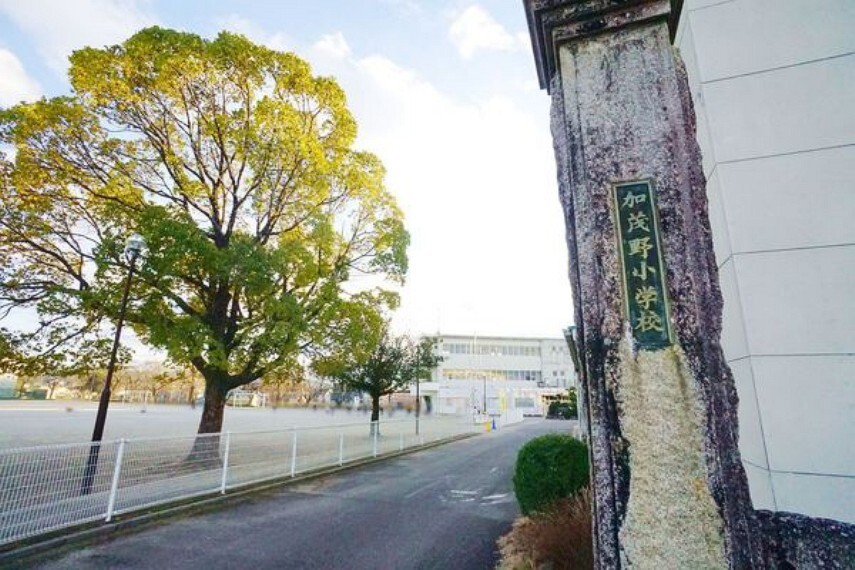小学校 加茂野小学校 加茂野小学校まで750m(徒歩約10分)