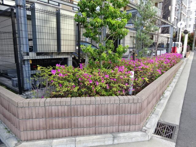 庭