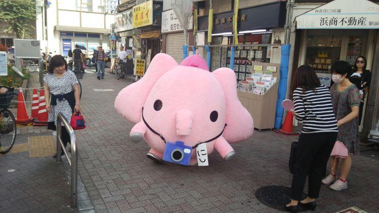 晴れた日には地元のマスコット「にしぞう」にも会えるかも?