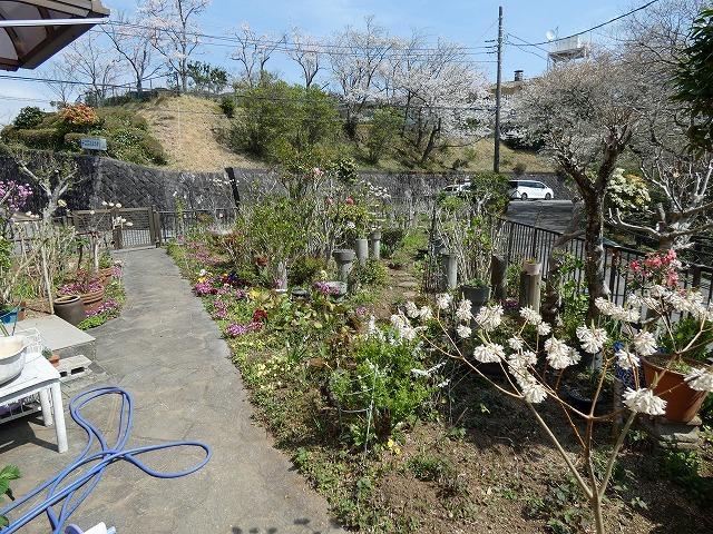 庭