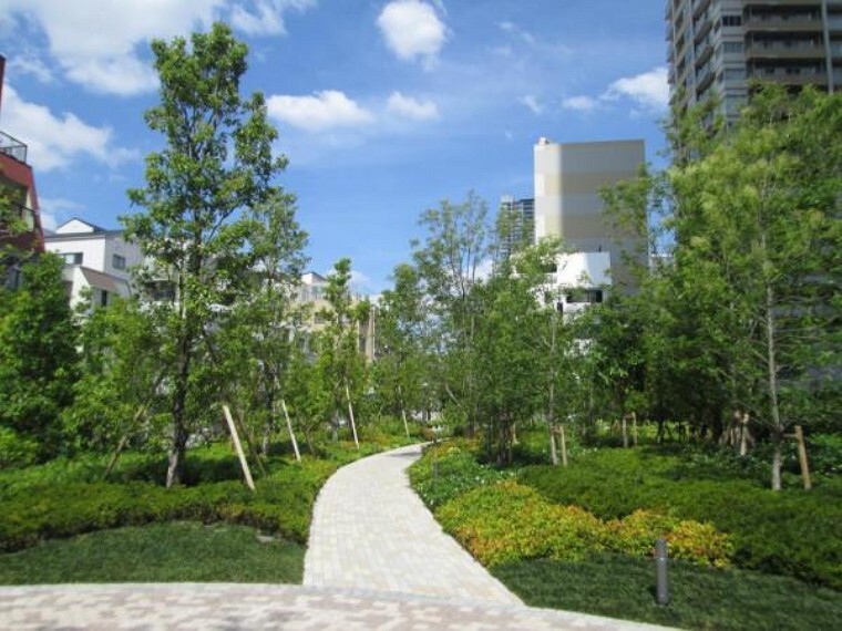 現況写真 マンションの周りには緑も多くございます。