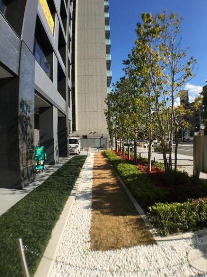 現況写真 マンション周辺には緑も多く癒しの空間が広がります。