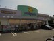 ドラッグストア ウェルパーク桜新町店