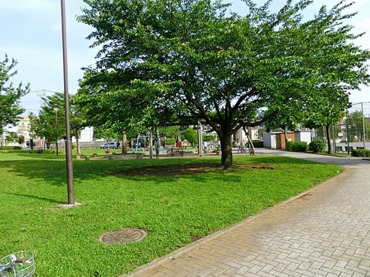 公園 天神公園