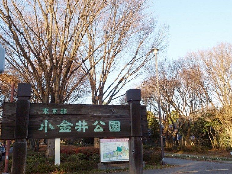 公園 都立小金井公園
