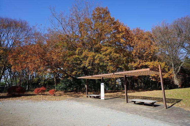 現況写真 秋になれば紅葉も美しく、郊外に行かずとも紅葉狩りが楽しめてしまいます。