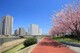 公園 汐入公園