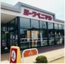 スーパー 【スーパー】ヨークベニマル　日立川尻町店まで2891m