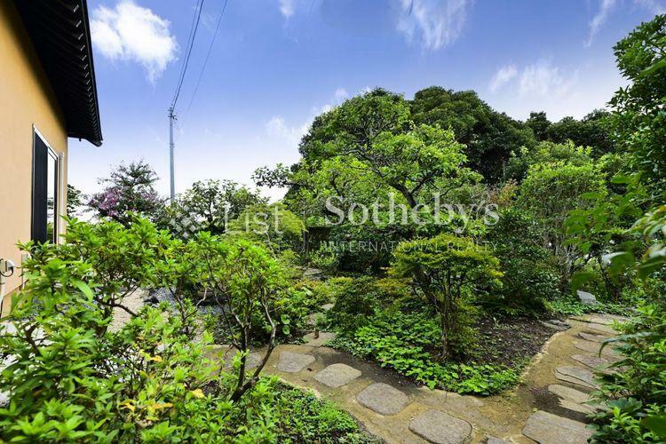 庭 庭:美しい緑が楽しめる日本庭園風のお庭。
