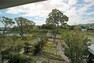 眺望 バルコニーからの眺め（南西方向）。二テコ池と周辺の木々を眺める事ができ、バルコニーに出るだけでリフレッシュできそうです。