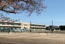 中学校 現地から1170m～1220m。　ひたちなか市立大島中学校　最寄りの中学校は『ひたちなか市立大島中学校』です。※2020年4月撮影