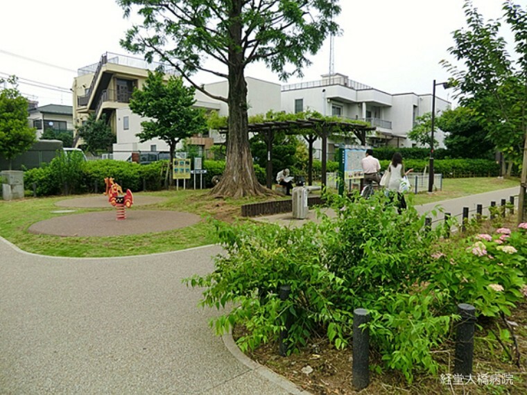 公園 【公園】経堂大橋公園まで431m