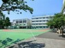 中学校 【中学校】入新井第五小学校まで613m