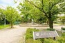 公園 【公園】小岩の森公園まで765m