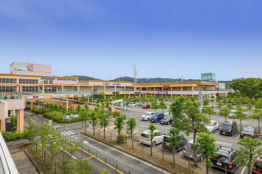 ショッピングセンター フレスポ小田原シティーモール（約1600m/徒歩20分）食料品や雑貨、日用品、ホームセンターなども充実し、衣料の量販店もあり、生活に必要なものが揃うショッピングモール。