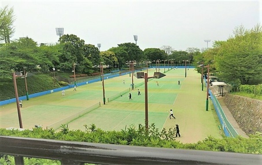 公園 三ツ沢公園 昭和39年開催の東京オリンピックの会場としても使用された歴史ある運動公園です。園内には、多くの桜が植えられ、市内有数の花見の名所となっています。