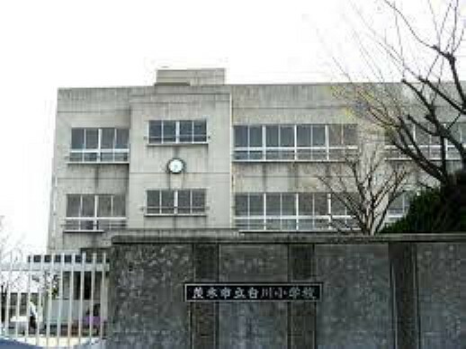 小学校 【小学校】茨木市立白川小学校まで644m