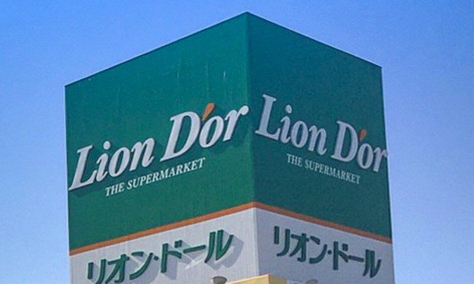 スーパー リオン・ドール野田店　