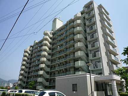 太陽住建