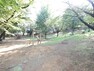 公園 清水寺公園