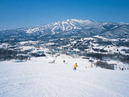 ウィンタースポーツが楽しめます 鷲ヶ岳スキー場、ひるがの高原スキー場等、多くのスキー場が近くにあります