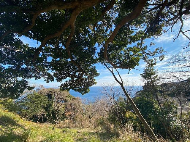 賀茂郡東伊豆町大川