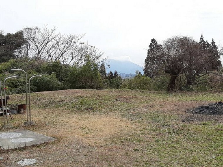 庭 桜島望めます。
