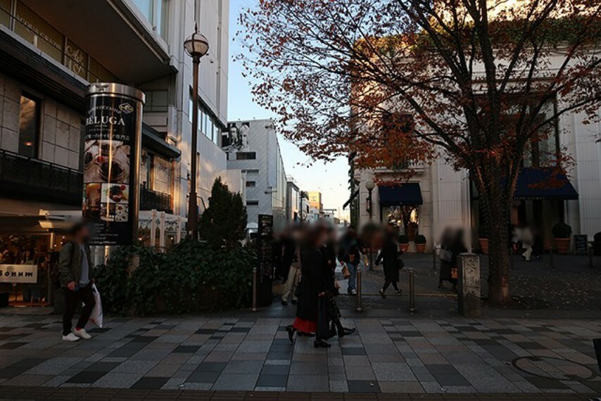 周辺の街並み キャットストリート（旧渋谷川遊歩道路）