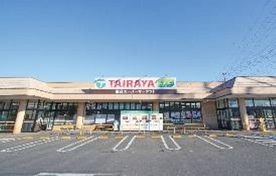スーパー 現地から580m～590m。　TAIRAYA小金井店　食料品を主に取り扱うスーパーマーケットです。