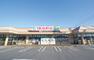スーパー 現地から580m（最長）　TAIRAYA小金井店　食料品を主に取り扱うスーパーマーケットです。