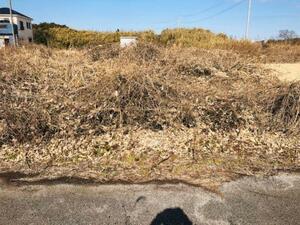 山武郡横芝光町宮川