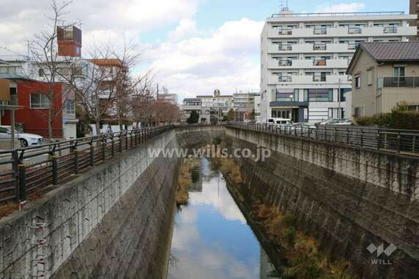 山崎川は千種区の『平和公園』にある猫ヶ洞池を水源とし、昭和区や瑞穂区、南区を流れて名古屋港に注ぐ全長13.6kmの二級河川です。