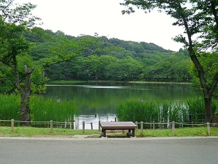 公園 三ツ池公園 日本の「さくら名所100選」に選ばれている公園。またテニスコートなどの運動施設やパークセンターも備えた総合公園です。