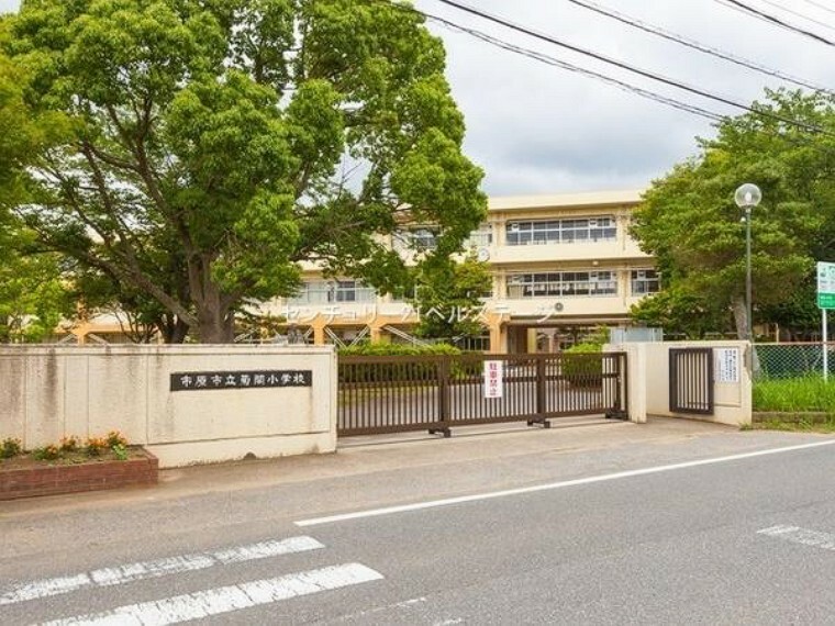 小学校 市原市立菊間小学校