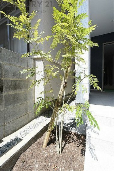 庭 玄関へのアプローチタイル横には植栽を植えてこだわりの外構となりました。