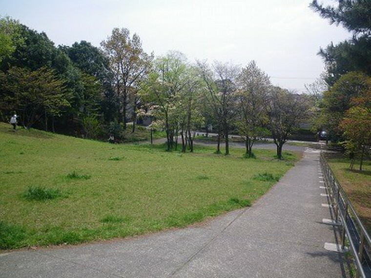 公園 新石川公園（●横浜市の中でもひときわ緑の潤いに満ちた青葉区。公園数や街路樹数は、市内でも一番多く、街のいたるところで緑を感じます●）